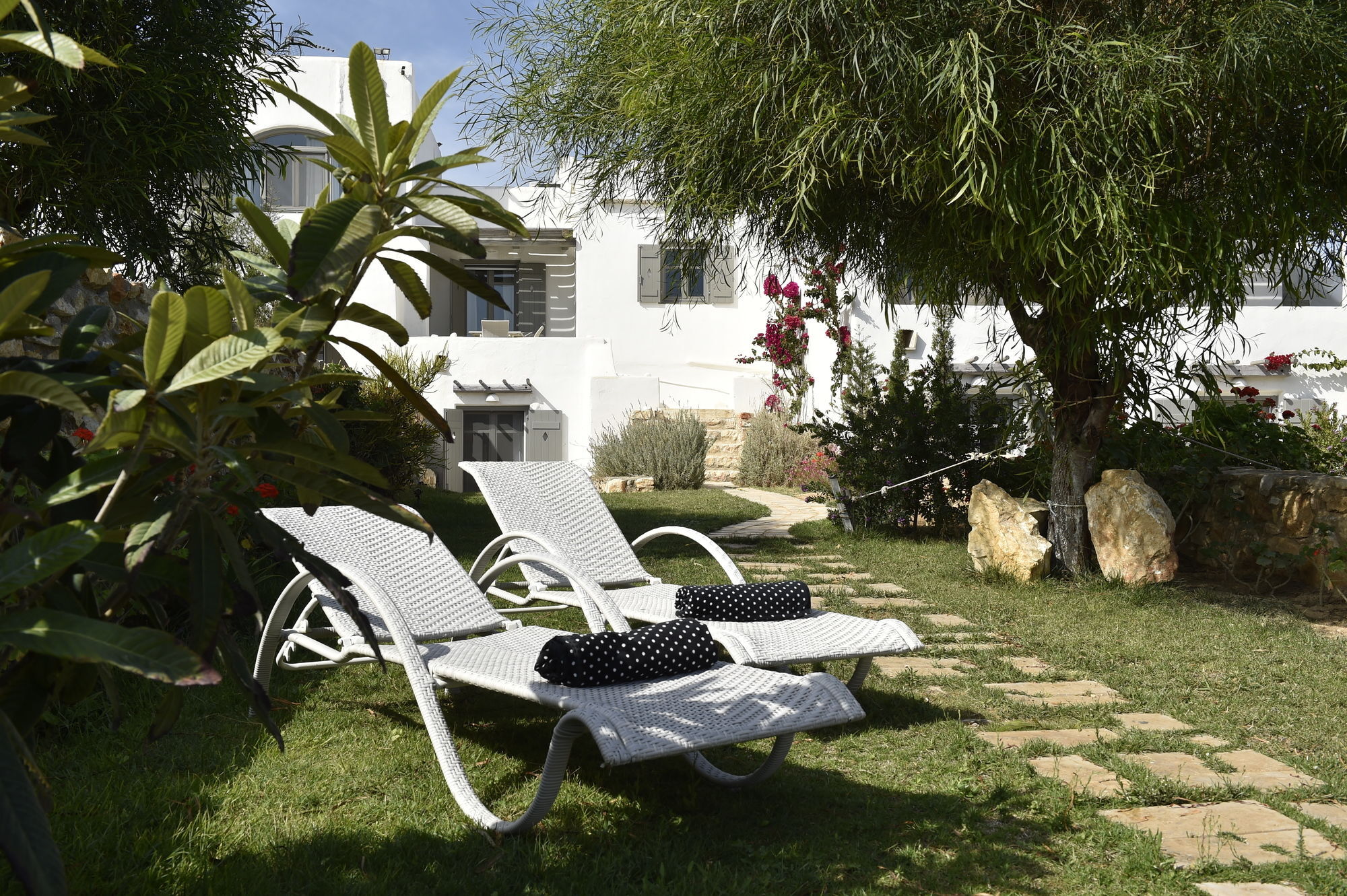 Naoussa Hills Boutique Resort- Adults Only パロス島 エクステリア 写真