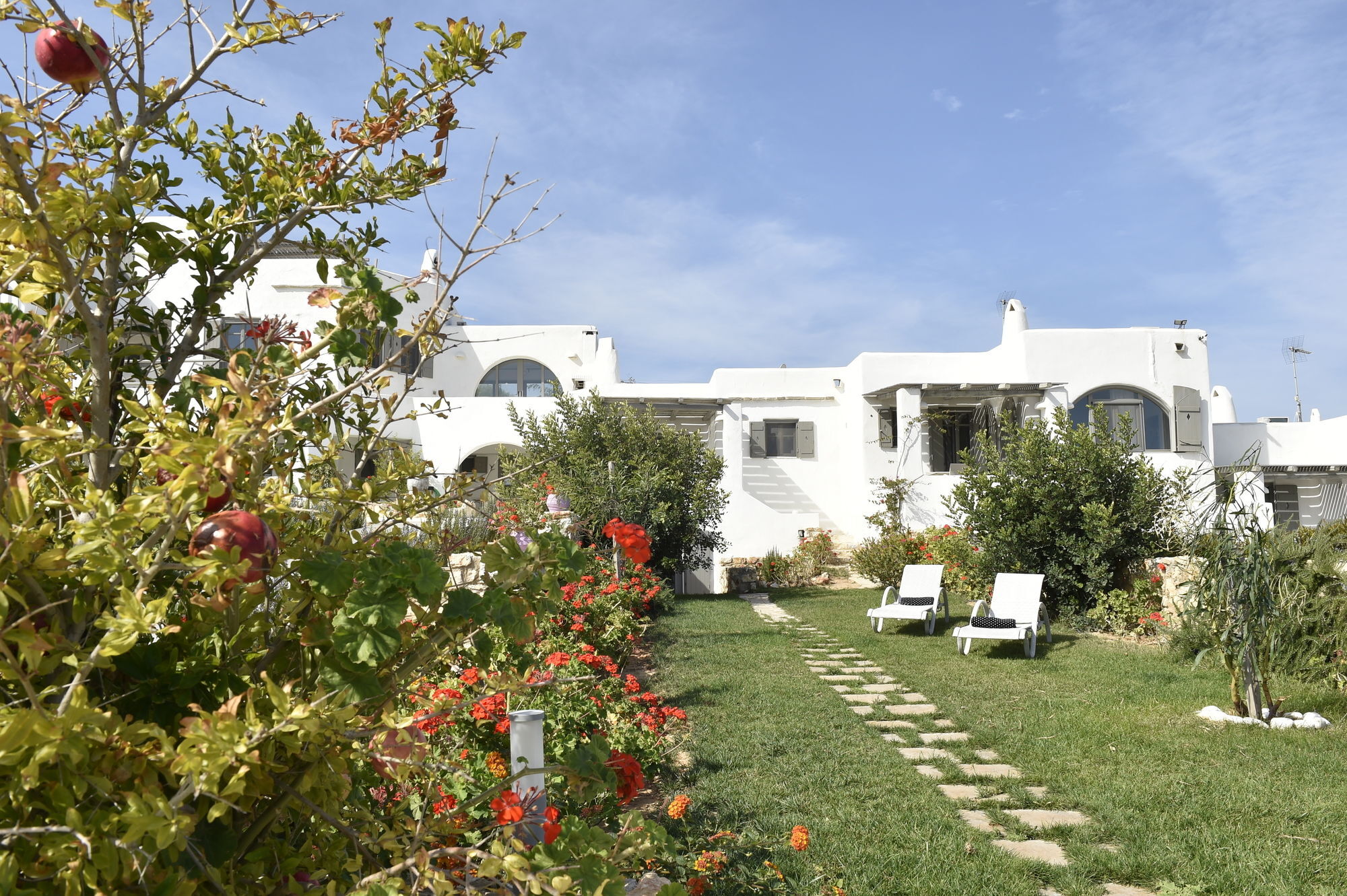 Naoussa Hills Boutique Resort- Adults Only パロス島 エクステリア 写真