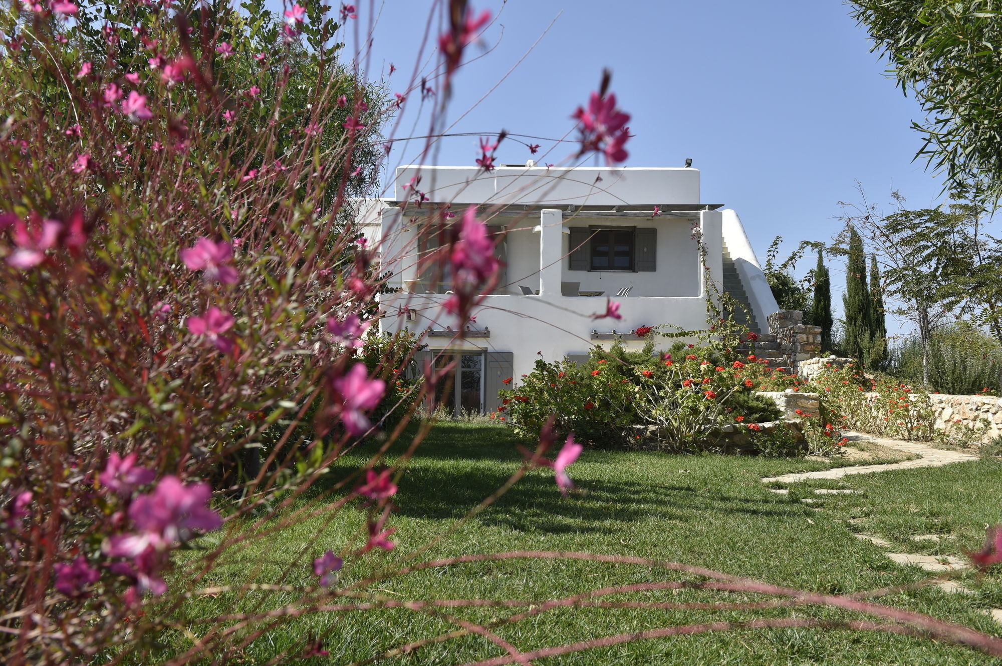 Naoussa Hills Boutique Resort- Adults Only パロス島 エクステリア 写真
